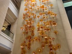 -上海新发展亚太JW万豪酒店