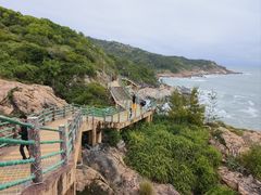 -广东惠东海龟国家级自然保护区