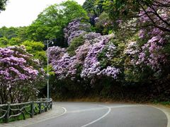 -梧桐山风景名胜区