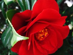 小区环境-东苑半岛花园