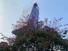 -海心沙亚运公园