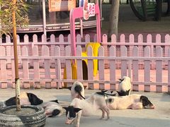 -渔岛海洋度假区