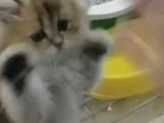 -乐宠宠物店(世纪金源店)