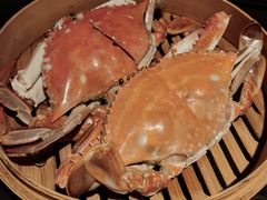 -乔街深夜食堂·台州菜·高压锅生蚝(杭州总店)