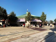 -喜茶(迪士尼小镇DP店)