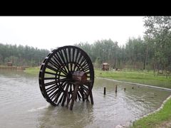 -合肥滨湖国家森林公园