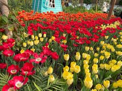 -南宫五洲植物乐园