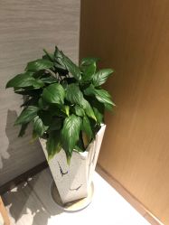 -苑苑vbeauty科技美容SPA