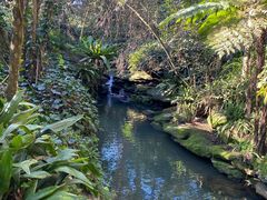 -EG Waterhouse Camellia Gardens Sutherland Shire