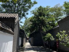-荣国府
