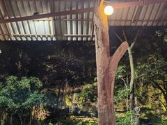 -绿光森林餐厅