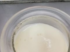 -添發碗仔翅美食