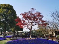 -南通洲际绿博园