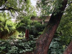 -宝通禅寺