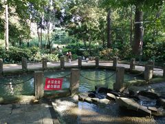 -成都市活水公园