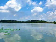 -丁香湖公园