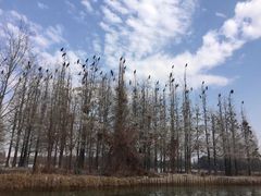 -东湖落雁景区
