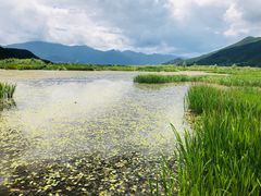 -泸沽湖国家级风景名胜区走婚桥