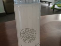 -大国药妆(NEW心斎橋店)