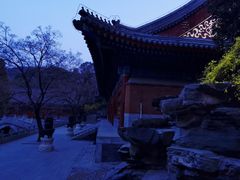 -香山公园
