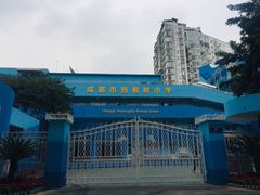 -泡桐树街