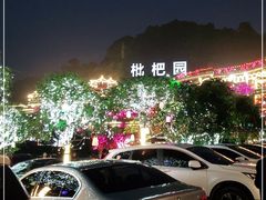 -枇杷园食为鲜火锅(南山店)