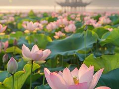 -金山公园