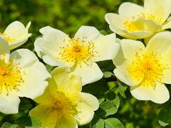 -周口店北京人遗址公园