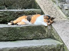 -山城巷传统风貌区