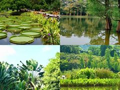 -中国科学院华南植物园