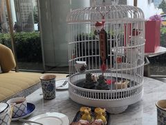 -茶源Fountain Lounge大堂吧·北京东方君悦大酒店