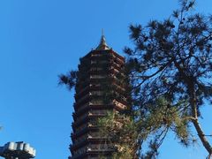 -西海子公园