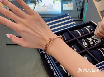 逛个街Get宝格丽同款蛇形手镯 1960到手