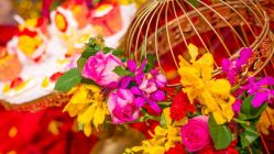 -IDOI婚礼策划·IDOIWEDDING