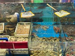 -明本湛江鸡•海鲜小厨(陈家祠店)