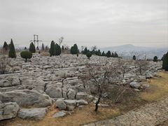 -原山国家森林公园