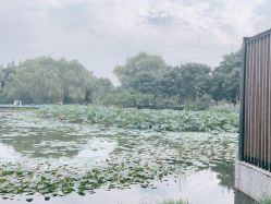 -玄武湖景区-情侣园游乐场