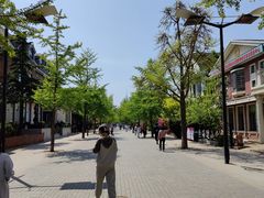 -南山酒肆(南山董事绘店)