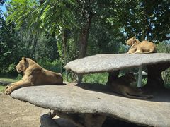 -北京野生动物园