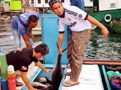 -仙本那小型鱼市