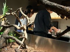 -曲廊院(东四十一条店)