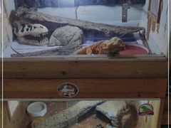 -Rabbit Cafe私房西餐甜点咖啡(栖霞路店)