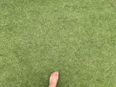 -羊亭河湿地公园