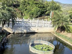 -三亚南山文化旅游区