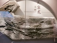 -贵州省地质博物馆