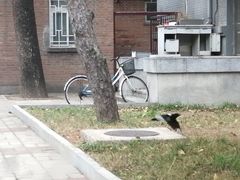 -中央民族大学