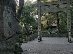 -龙井村