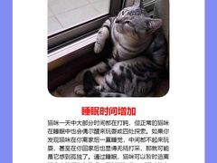-纳吉亚猫专科动物诊疗中心(蒋宅口分院)