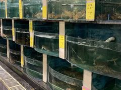 -石湖大酒店(桐泾店)