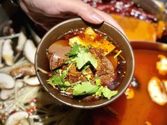 -大龙燚火锅(天钥桥路店)